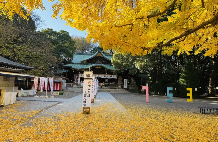 黄金の風が知らせてくれたこと──銀杏の光に導かれた小さな奇跡