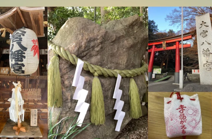 幸せの種はいつもそばに──自然が教えてくれる満たされた生き方